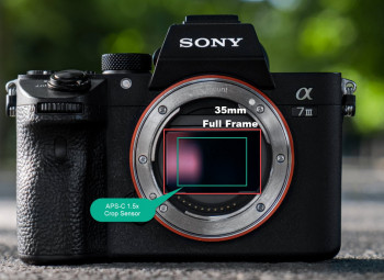 Jaký je rozdíl mezi fotoaparáty s fullframe a APS-C čipem a jaký a na co vybrat